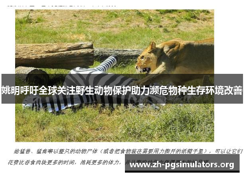 姚明呼吁全球关注野生动物保护助力濒危物种生存环境改善 姚明呼吁全球关注野生动物保护助力濒危物种生存环境改善