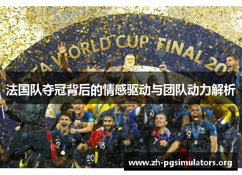 法国队夺冠背后的情感驱动与团队动力解析