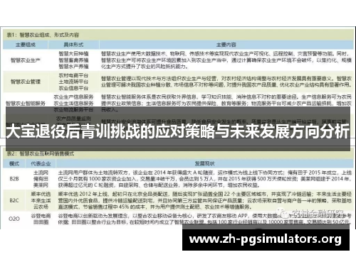 大宝退役后青训挑战的应对策略与未来发展方向分析 大宝退役后青训挑战的应对策略与未来发展方向分析