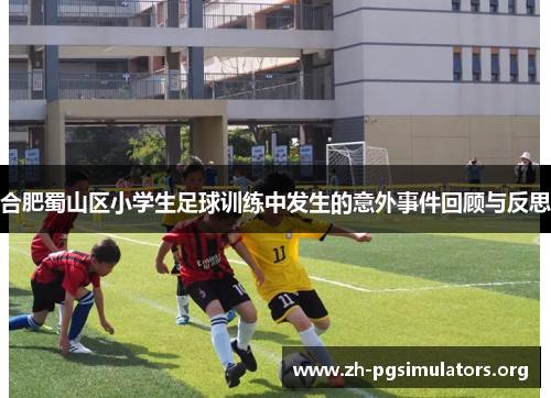 合肥蜀山区小学生足球训练中发生的意外事件回顾与反思 合肥蜀山区小学生足球训练中发生的意外事件回顾与反思