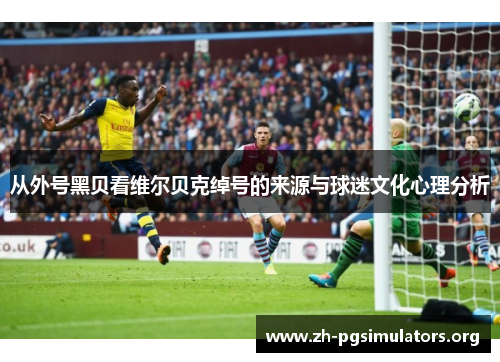 从外号黑贝看维尔贝克绰号的来源与球迷文化心理分析 从外号黑贝看维尔贝克绰号的来源与球迷文化心理分析