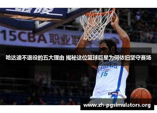 哈达迪不退役的五大理由 揭秘这位篮球巨星为何依旧坚守赛场 哈达迪不退役的五大理由 揭秘这位篮球巨星为何依旧坚守赛场